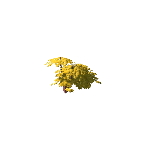 Small Tree Yellow Default 03